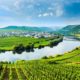 What You Really Need to Know About German Wine