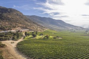 Why Chile is So Hot — 6 Chilean Wines (and 2 others) You Must Buy