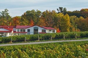 Niagara’s Best Wineries to Visit — No. 4 Kacaba Vineyards