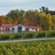 Niagara’s Best Wineries to Visit — No. 4 Kacaba Vineyards