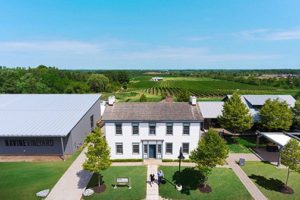 Niagara’s Top 10 Wineries to Visit — #8 Ravine Vineyard