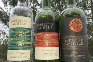 A Visit with Three Spirits of Chile