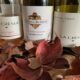 TIME FOR A CHANGE: Different Wines for a Different Season