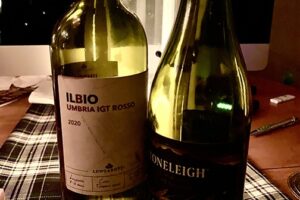 Sagrantino and a Sauvignon Blanc: Birds of a Different Feather
