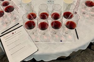 Chianti Classico, a special wine tasting and four great new wines at the LCBO
