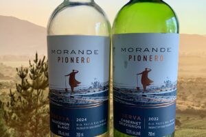 PIONEERING SPIRIT: A Chilean white and red wine for under $12