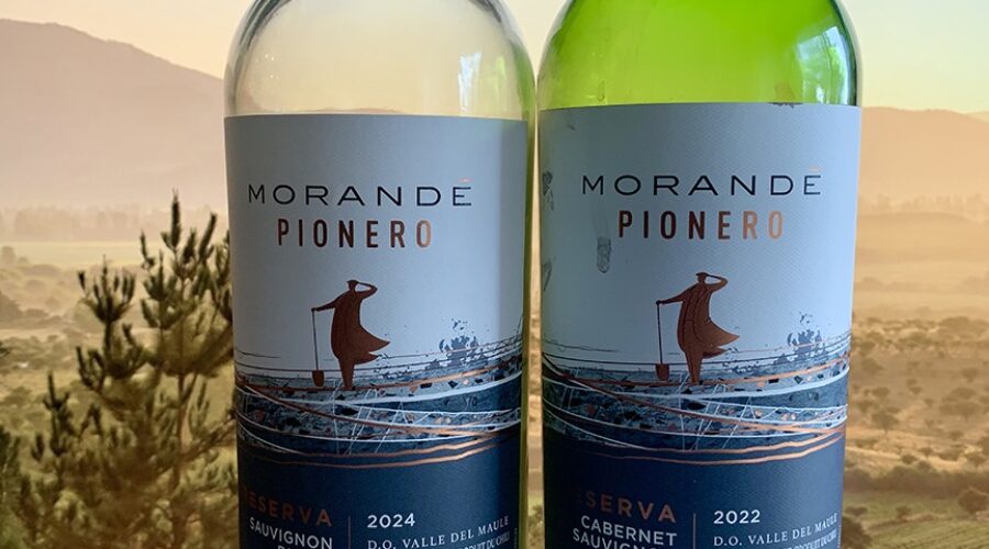 PIONEERING SPIRIT: A Chilean white and red wine for under $12